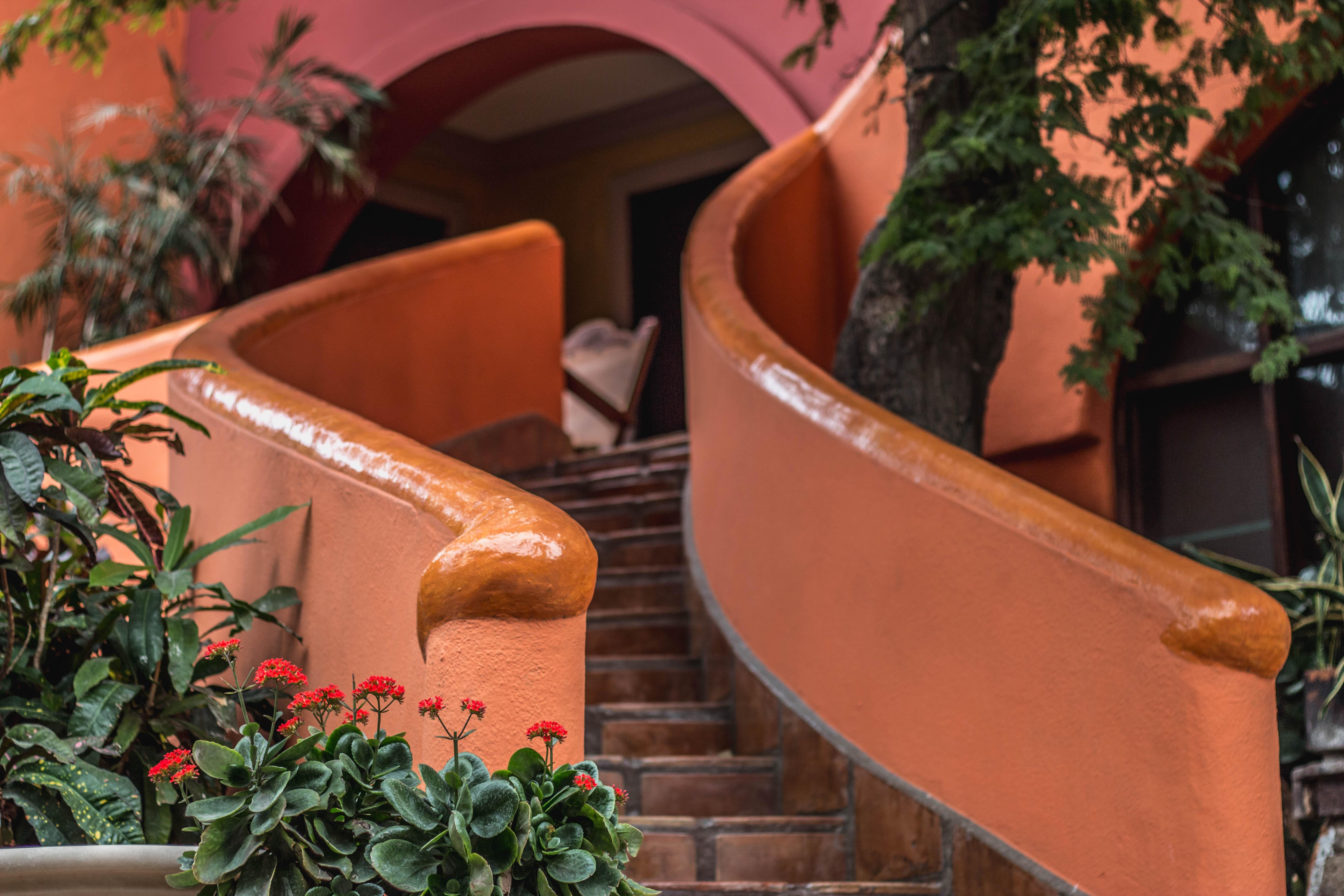 Collection O Casa Bella Hotel Boutique, Cabo San Lucas Exterior foto